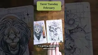 February 2026 Energy Reading | Showing Up Authentic or Aggressive?