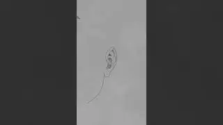 how to draw god-tier faces.. Ears part 1 #howto #howtodraw #tutorial