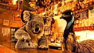 Mick the Koala Runs the Swamp Donkey Bar &ndash; Funniest Aussie Pub Jokes!