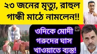 ২৩ জনের মৃত্যু, রাহুল গান্ধী মাঠে নামলেন!!ওদিকে মোদী গরুদের ঘাস খাওয়ালেন!!মারাত্মক রিপোর্ট সামনে!