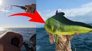 Я должен был поймать эту рыбу&hellip; (Махи-Махи)