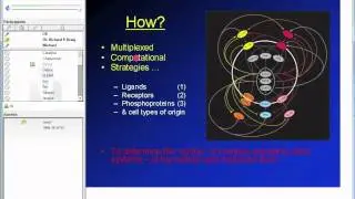 Multiplex Innate Cytokine Signal Analysis of Brain Function