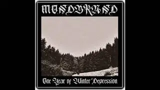 One Year of Winter Depression