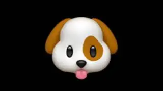 CAT vs DOG - Configurable TensorFlow Lite microcontroller hacking