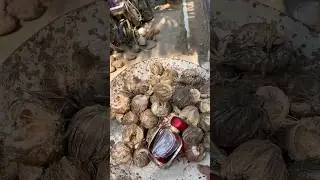 🌴Arecanut Husk ash making 🔥🔥 #experiment #agriculture #farming #youtubeshorts #youtube