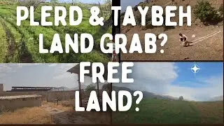 3. The nomads Plerd and Taybeh, Free land to build on?