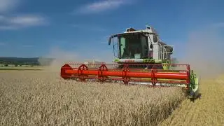 Epic German Harvest | Albrecht Rodheim Farm in Action 🚜🌾