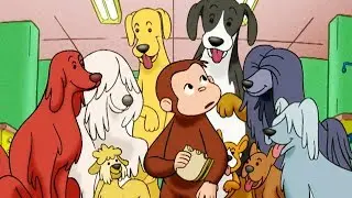 Curious George 🐵 Curious George, Dog Counter 🐵Full Episode 🐵 HD 🐵 Cartoons For Children