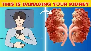7 Habits that Damage Your Kidneys