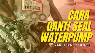 How to replace the water pump seal | Vario 125/150 K59