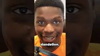Golden Dandelion Meme EXPLAINED