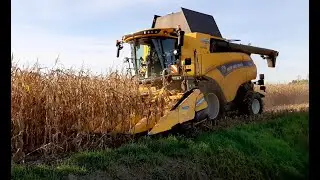 Moisson de  ma&iuml;s grain en Auvergne New Holland CR 9.80