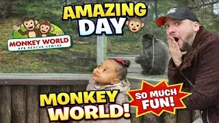 We Took a Baby to Monkey World and This Happened 😭