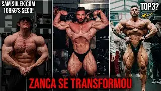SOBRE A EVOLUÇÃO BIZARRA DO ZANCA + SAM SULEK 108KG'S SECO + KIM PODE SURPREENDER NO ARNOLD?