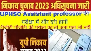 up local body election