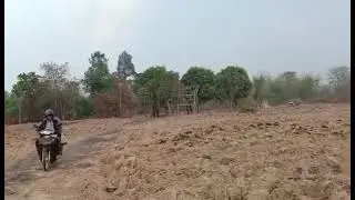 វាលស្រែ១០០