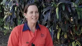 The benefits of fallow crops