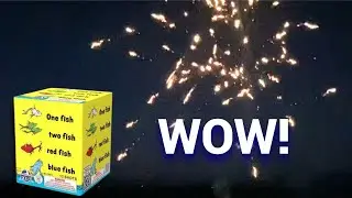 &ldquo;One Fish Two Fish&rdquo; HYBRID Fountain Firework by Major League Pyro