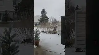 Timelapse Winter Weather scenery | Pure Raw Nature #nature #rawnature #winter #snow #skylapse