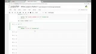 While Loops   infinite loops