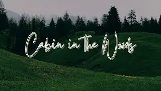 🪵Cabin in the Woods: 1 Hour of Peaceful Nature-Inspired Ambient Music🪵