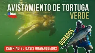 Pesca en Kayak - Tortuga verde / Pez dorados / Ceviche /Camping El Oasis