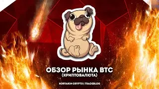 Биточек начал отработку. Путь от работяги до миллионера. Как торговать криптой сегодня? Куда летим?