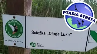 Długa Luka