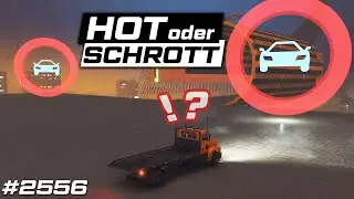 HOT oder SCHROTT| Deko wird SALZIG🧂