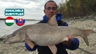 Lapos Attila - Barangol&aacute;sok az őszi Dun&aacute;n &ndash; 2. r&eacute;sz