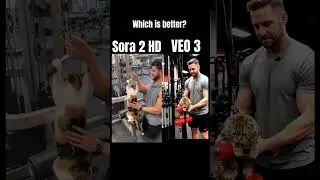 Тест вертикального видео между Sora 2 HD и VEO 3!
