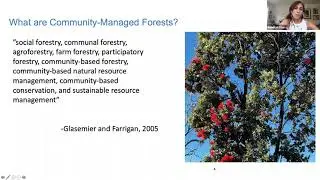 June 2020 Webinar: Community-Managed Forests in Hawaiʻi
