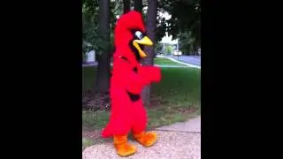 Noah as Casey the Cardinal