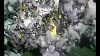 MU VENON
