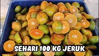 BONGKAR RAHASIA !! USAHA ES JERUK SUPER SEGAR 100 KG JERUK LUDES DENGAN OMSET JUTAAN RUPIAH PERHARI!