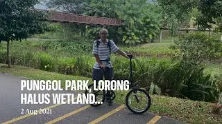 Punggol Waterway Park ~ Lorong Halus Wetland ~ Punggol Park