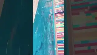 Momo Swimming