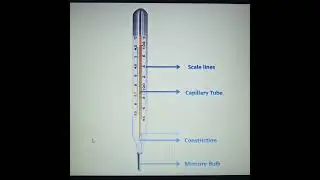 Parts of Thermometer 🤒 #medical #nursing #subscribe #students #support #viral