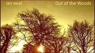 Ian Neal - Out of the Woods. 2011. Progressive Rock. Ambient. Full Album