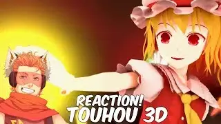 Тохо 3D Мариса против Фландры | РЕАКЦИЯ