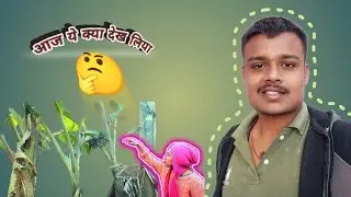 आज ये क्या बता दिया 🥺 What did you reveal today? 🤪।          