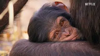 OUR LIVING WORLD Official Trailer (2024) | HD