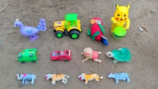 Bacho dekho kitny pyary jangi janwar aor toys
