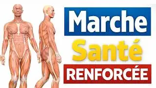 Marche : des effets réels sur la santé