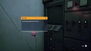 Stray Speed Run