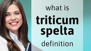 Triticum spelta | TRITICUM SPELTA definition