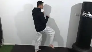 Front and Push Kicks