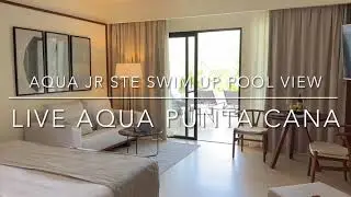 Live Aqua Punta Cana - Aqua Junior Suite Swim Up Pool View