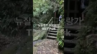 뉴질랜드 타우랑가의 TECT Park.