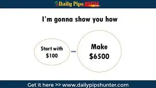 Daily Pips Hunter - Forex Trading System for Beginners